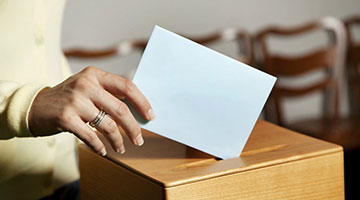 Your Ballot Information